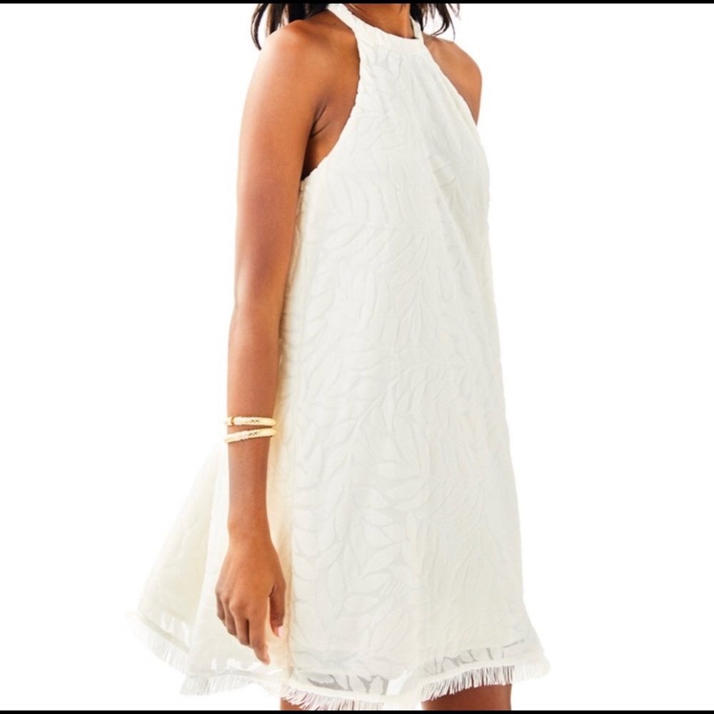 Lilly Pulitzer Quinn Swing Dress